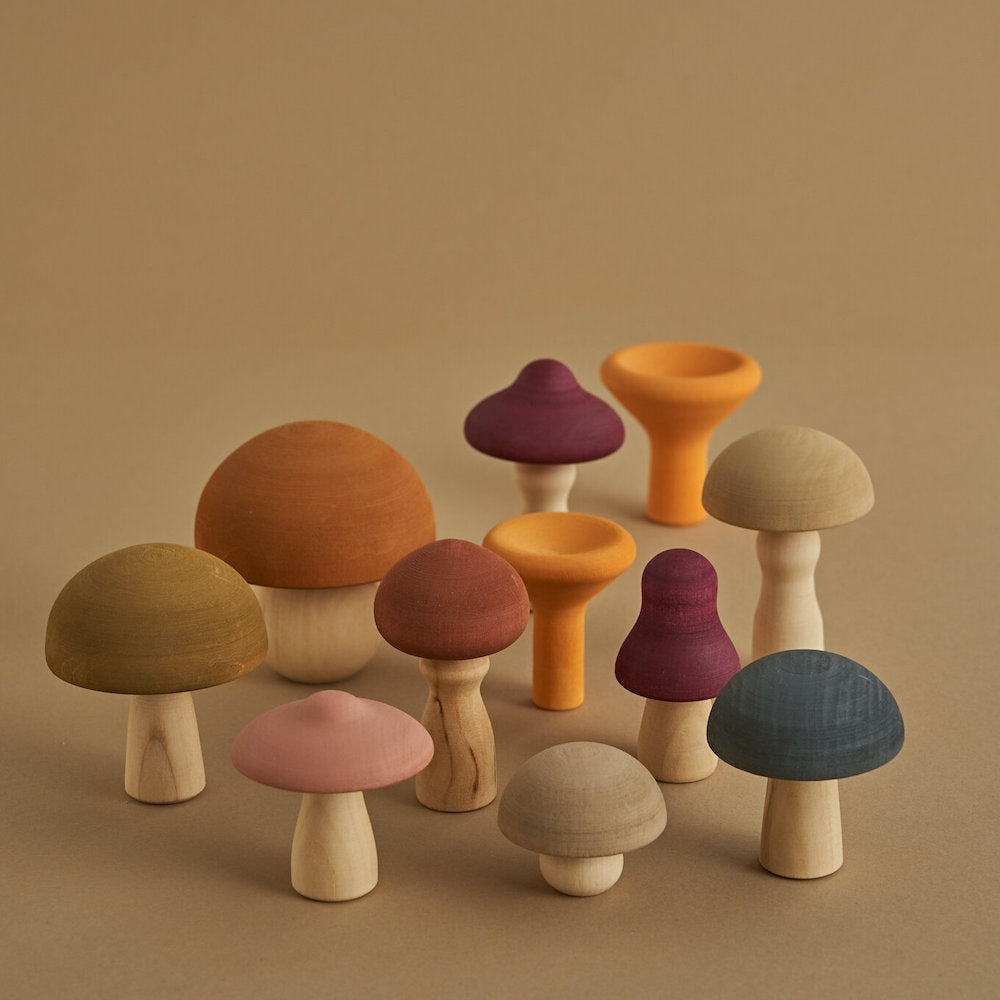 Mushrooms - Forage