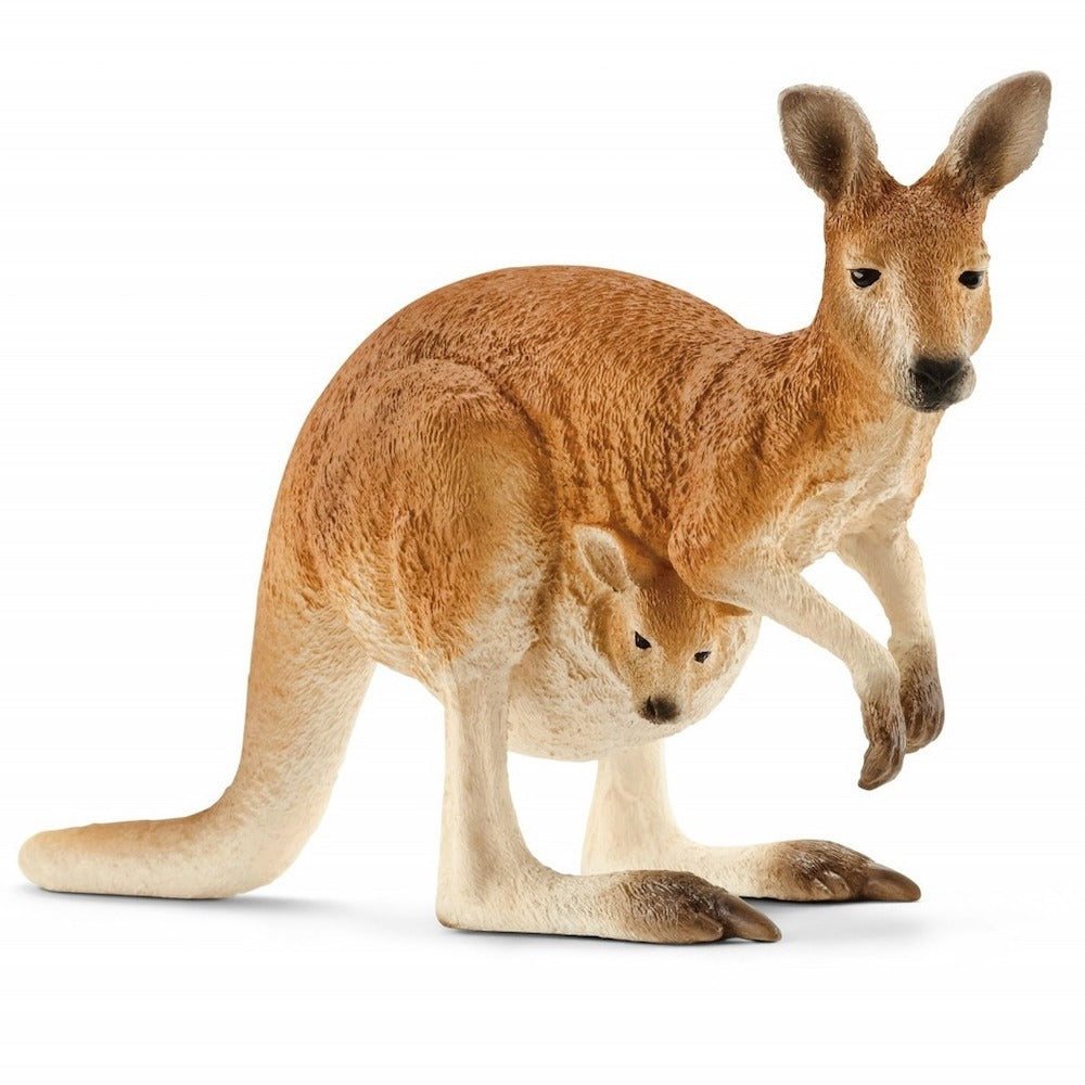 Kangaroo