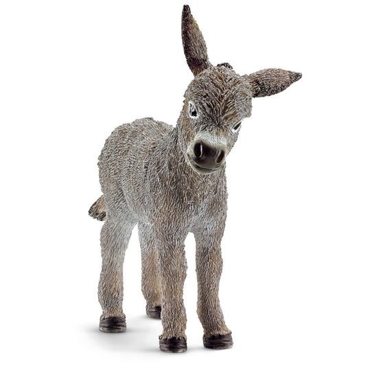 Donkey Foal