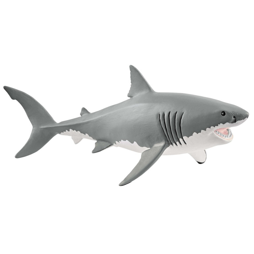 Great White Shark