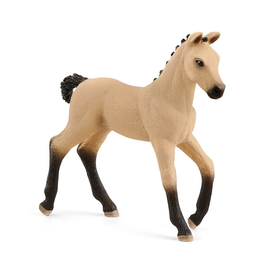 Hanoverian Foal Red Dunn