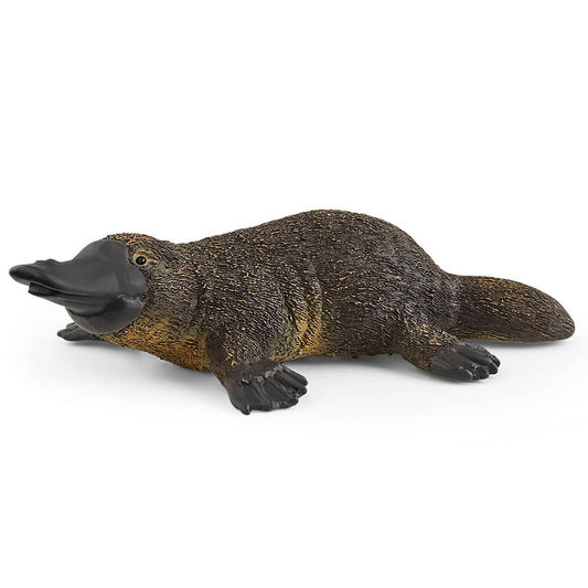 Platypus