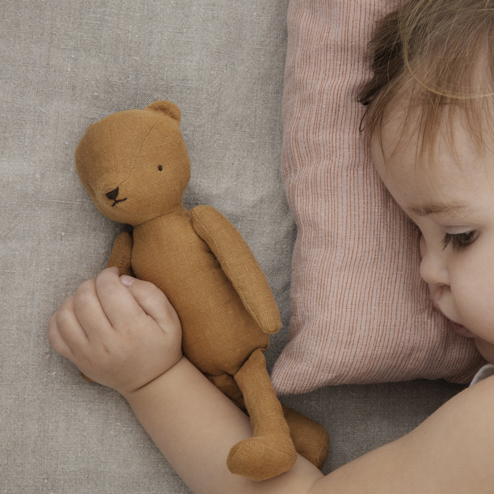 Teddy Junior