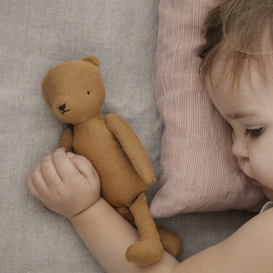 Teddy Junior