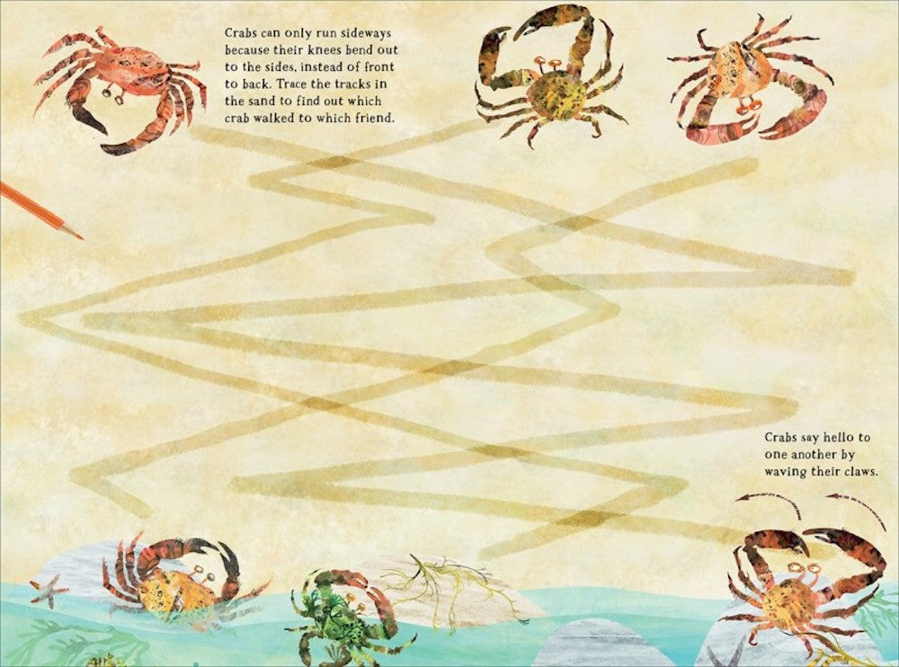 The Big Sticker Book Of The Blue