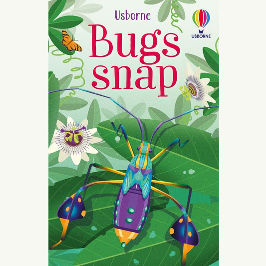Bugs Snap Cards
